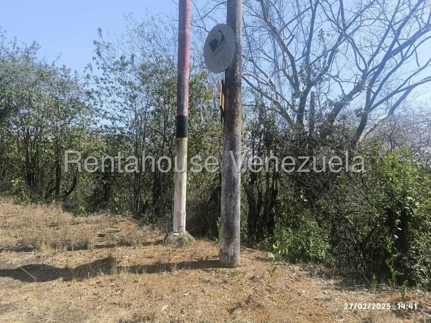 Terreno (Comercial) en Venta en Mara Country, Miranda - 11