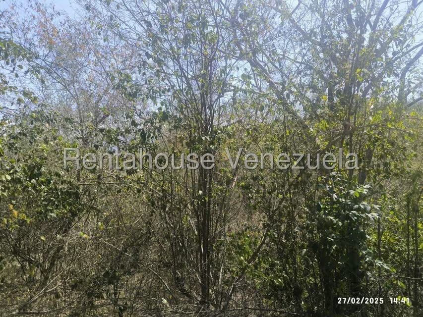 Terreno (Comercial) en Venta en Mara Country, Miranda - 12