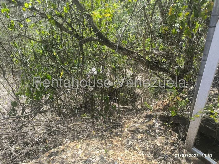 Terreno (Comercial) en Venta en Mara Country, Miranda - 13