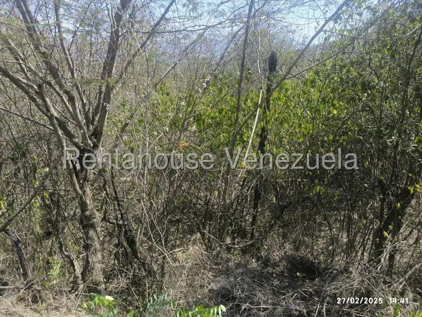 Terreno (Comercial) en Venta en Mara Country, Miranda - 14
