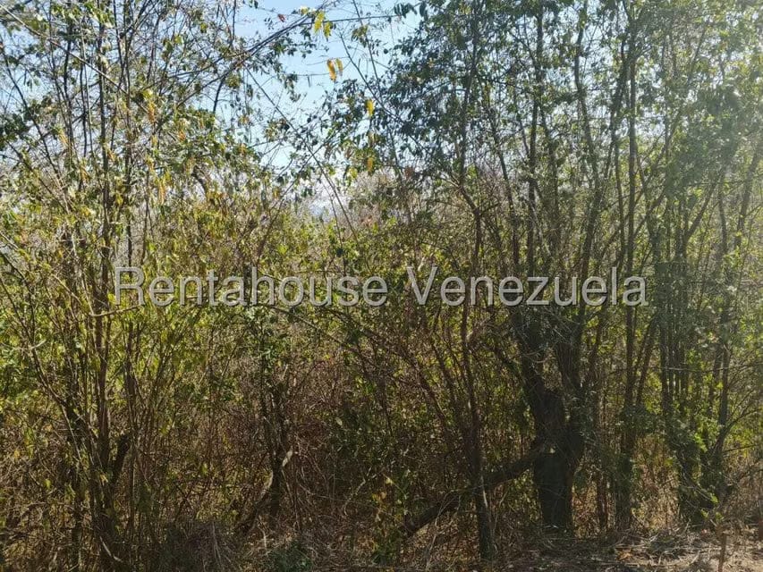 Terreno (Comercial) en Venta en Mara Country, Miranda - 5