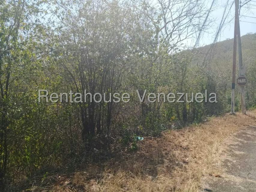 Terreno (Comercial) en Venta en Mara Country, Miranda - 6