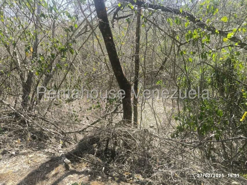 Terreno (Comercial) en Venta en Mara Country, Miranda - 7