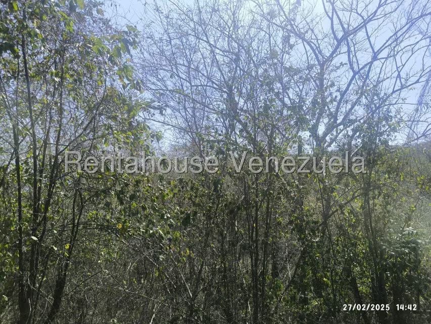 Terreno (Comercial) en Venta en Mara Country, Miranda - 8