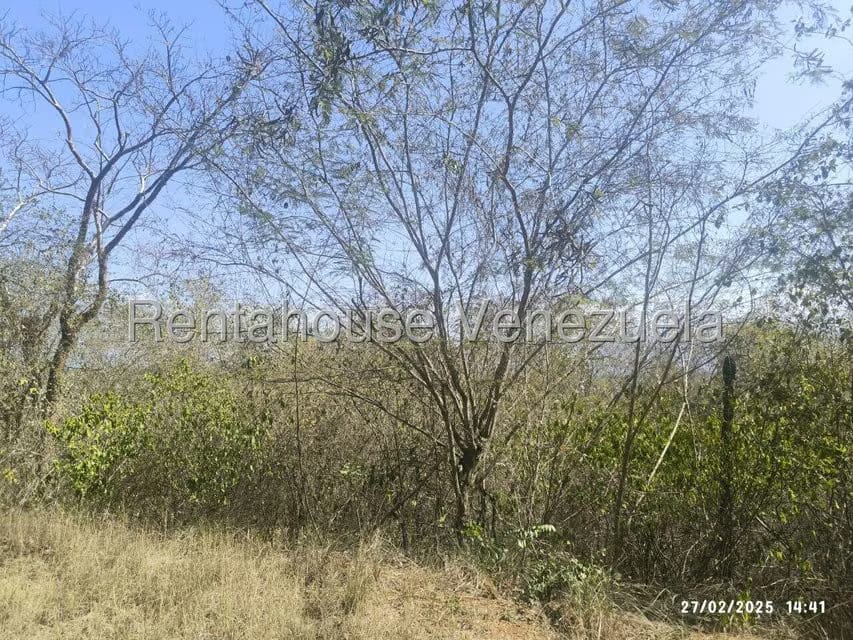 Terreno (Comercial) en Venta en Mara Country, Miranda - 9