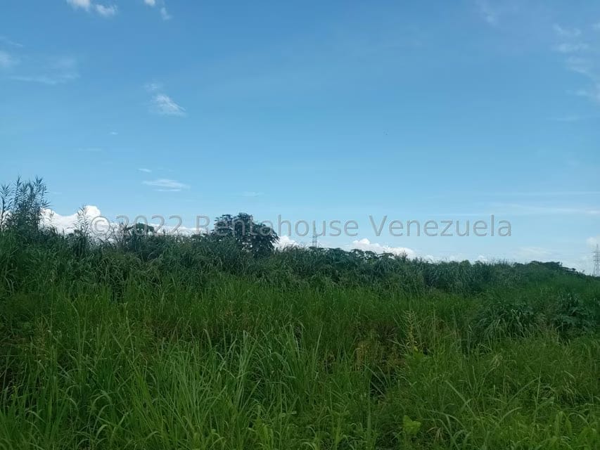 Terreno (Residencial) en Venta en Flor Amarillo, Carabobo