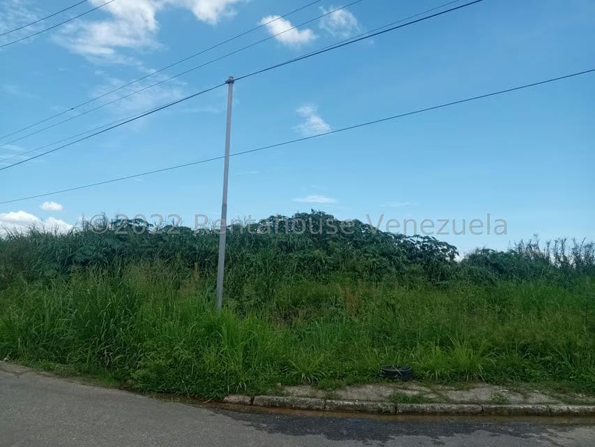 Terreno (Residencial) en Venta en Flor Amarillo, Carabobo - 11