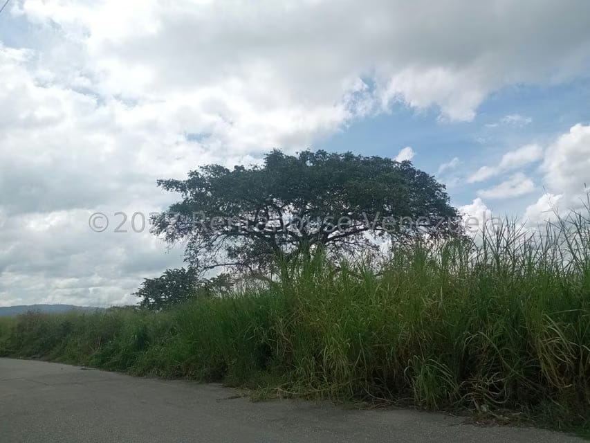 Terreno (Residencial) en Venta en Flor Amarillo, Carabobo - 3