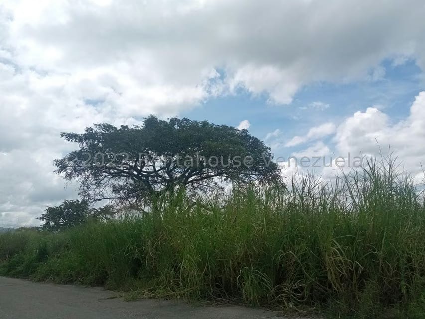 Terreno (Residencial) en Venta en Flor Amarillo, Carabobo - 8