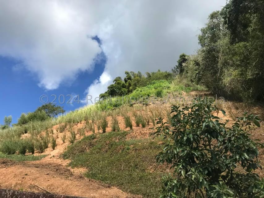 Terreno (Comercial) en Venta en La Union, Distrito Metropolitano - 2