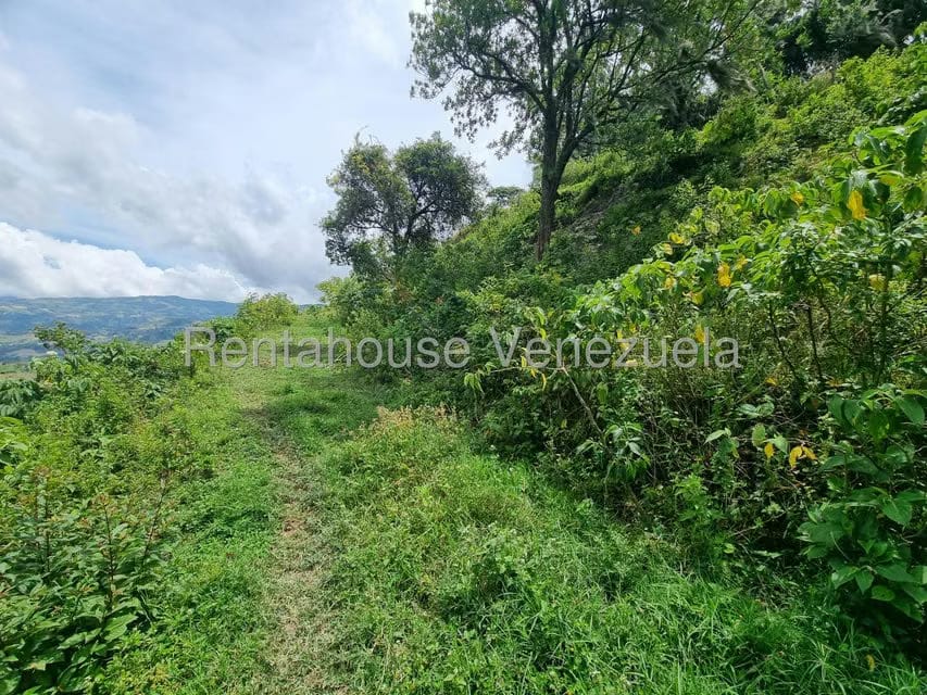 Terreno (Comercial) en Venta en Jimenez, Lara - 11