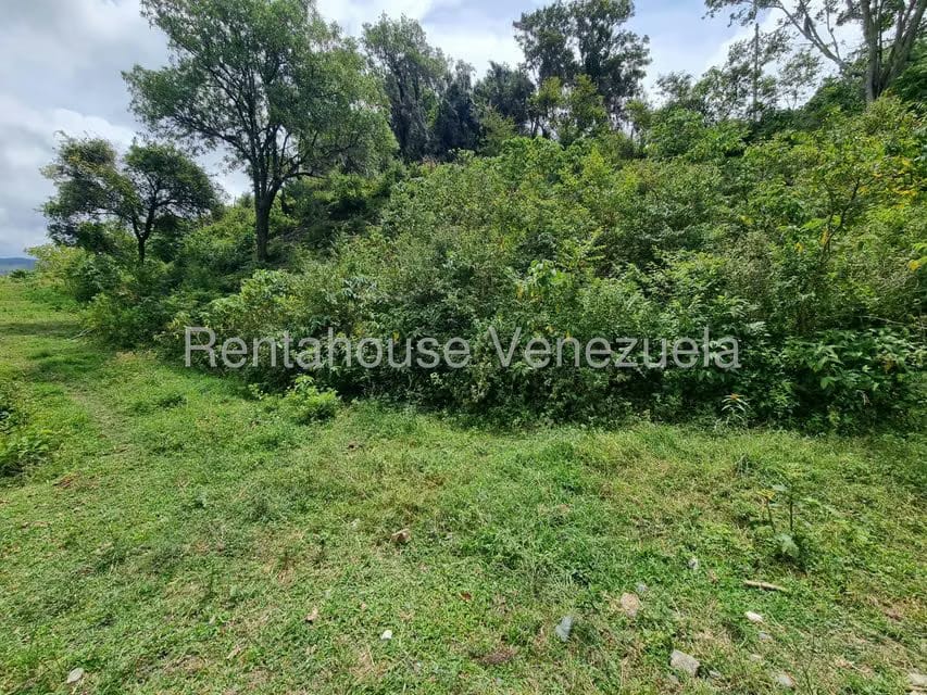 Terreno (Comercial) en Venta en Jimenez, Lara - 13