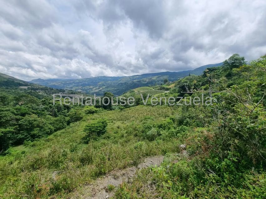 Terreno (Comercial) en Venta en Jimenez, Lara - 17