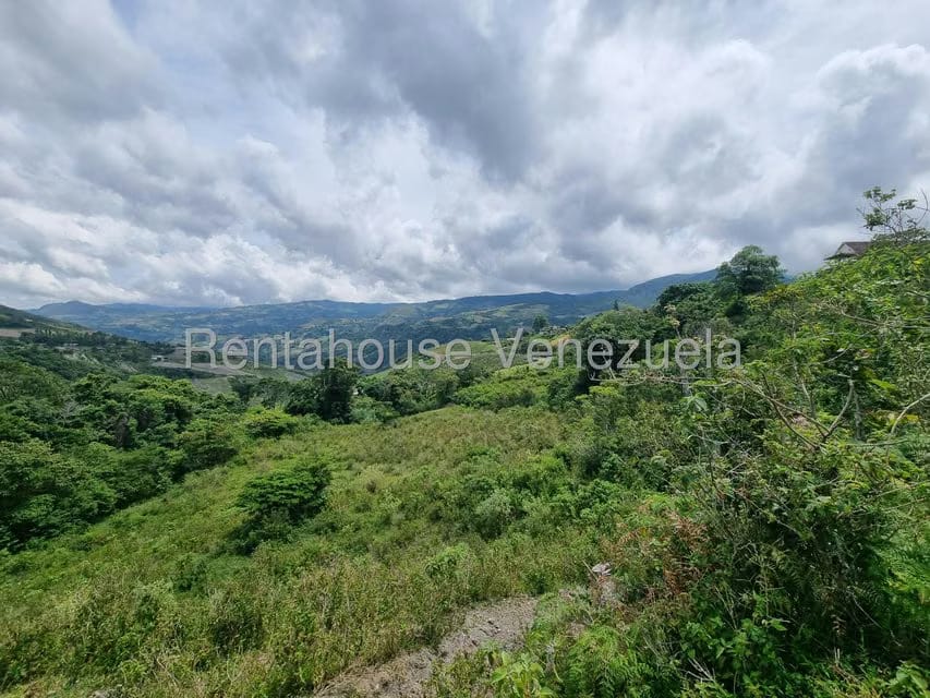 Terreno (Comercial) en Venta en Jimenez, Lara - 18