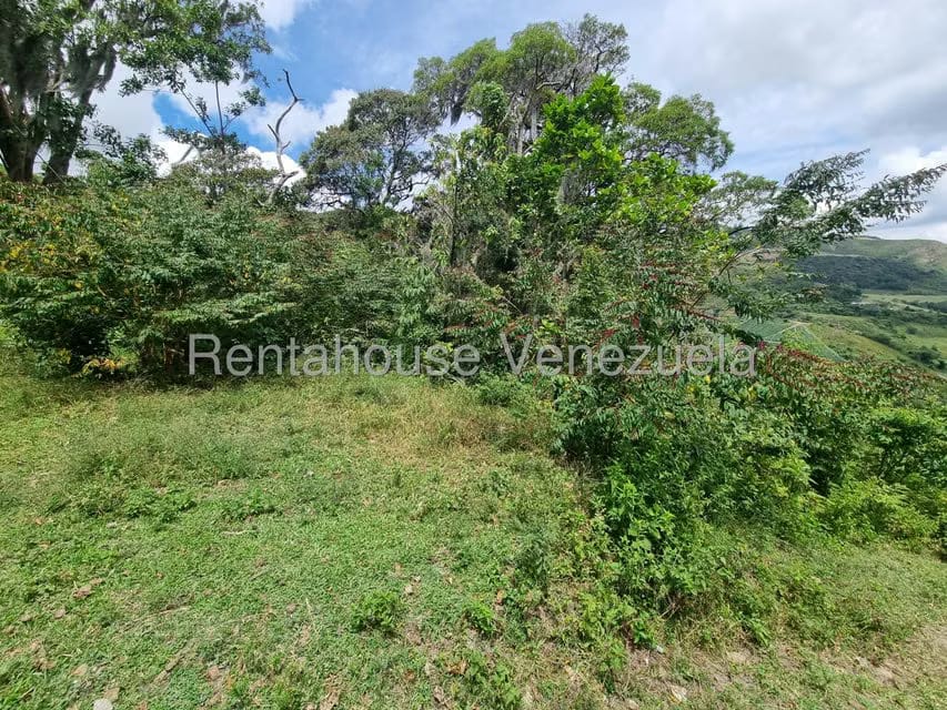 Terreno (Comercial) en Venta en Jimenez, Lara - 24