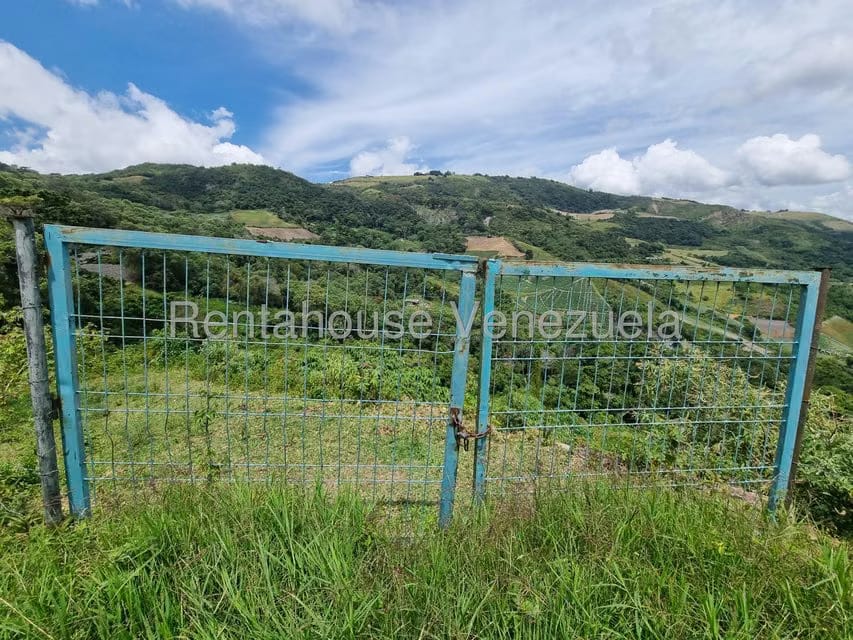 Terreno (Comercial) en Venta en Jimenez, Lara - 30