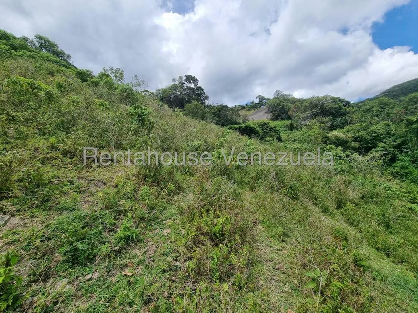 Terreno (Comercial) en Venta en Jimenez, Lara - 6