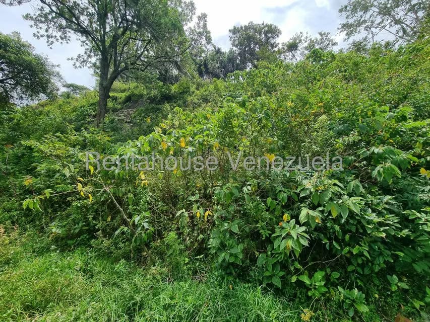 Terreno (Comercial) en Venta en Jimenez, Lara - 8