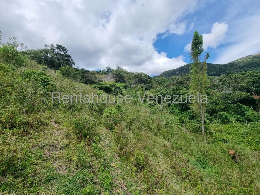 Terreno (Comercial) en Venta en Jimenez, Lara - 9