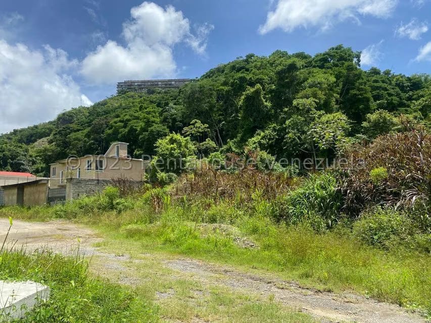 Terreno (Residencial) en Venta en Villa Nueva Hatillo, Distrito Metropolitano - 6
