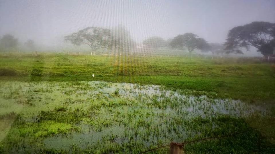Terreno (Comercial) en Venta en La Sabana, Zulia
