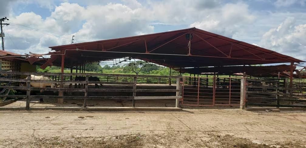 Terreno (Comercial) en Venta en La Sabana, Zulia - 15