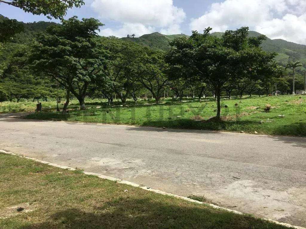 Parcelas en Cementerio en Venta en Jardines El Cercado, Guarenas - 7