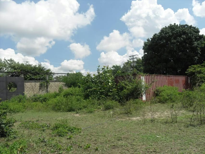 Terreno (Comercial) en Venta en Yagua, Carabobo - 15
