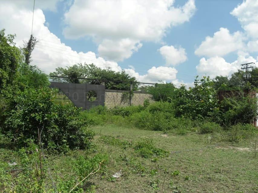 Terreno (Comercial) en Venta en Yagua, Carabobo - 16