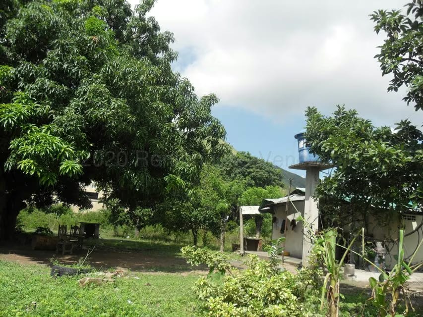 Terreno (Comercial) en Venta en Yagua, Carabobo - 18
