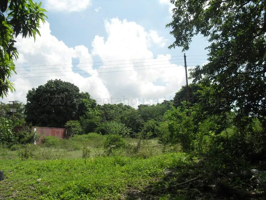 Terreno (Comercial) en Venta en Yagua, Carabobo - 8
