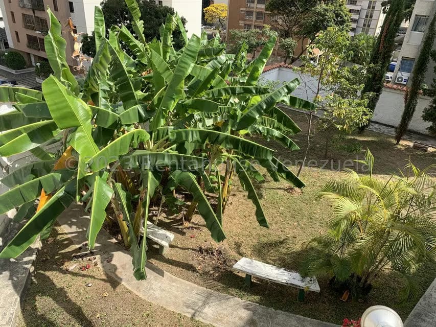 Casa (Multipes Niveles) en Venta en El Marques, Distrito Metropolitano - 10
