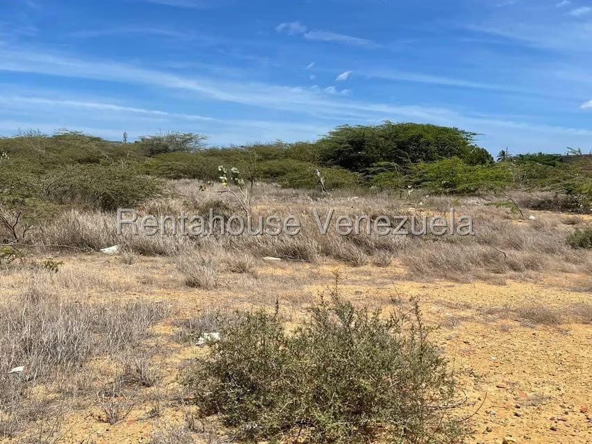 Terreno (Residencial) en Venta en Puerta Maraven, Falcon - 5