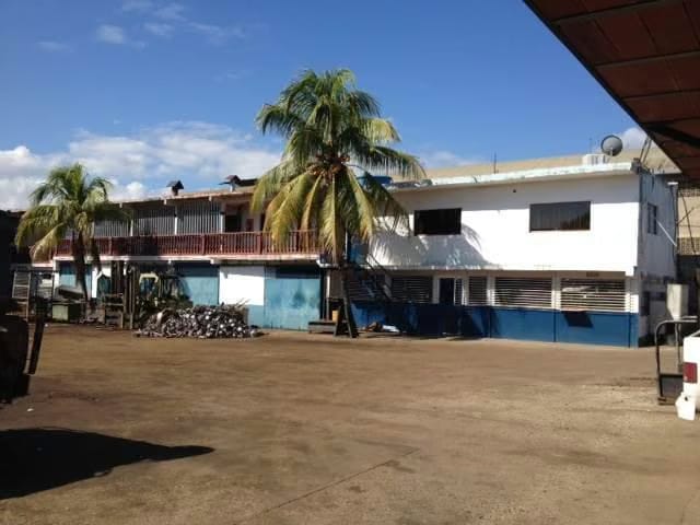 Comercial (Galpon - Deposito) en Venta en Marin 1, Miranda - 3