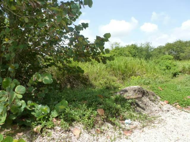 Terreno (Residencial) en Venta en Ciudad Balneario Higuerote, Miranda - 2