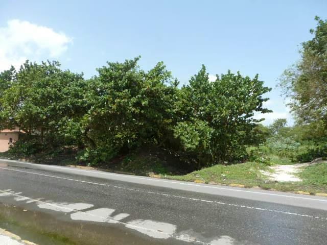 Terreno (Residencial) en Venta en Ciudad Balneario Higuerote, Miranda - 14