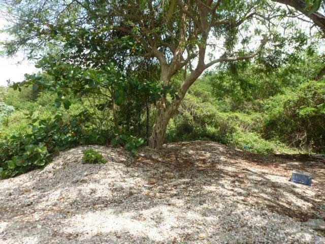 Terreno (Residencial) en Venta en Ciudad Balneario Higuerote, Miranda - 4