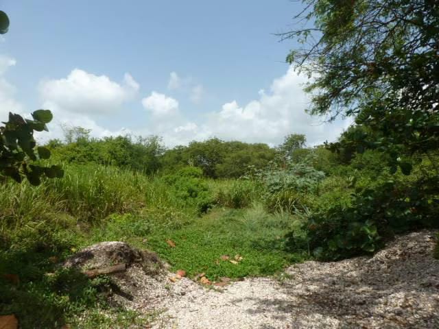Terreno (Residencial) en Venta en Ciudad Balneario Higuerote, Miranda - 5