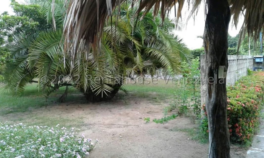 Casa (1 Nivel) en Venta en Los Canales de Rio Chico, Miranda - 19