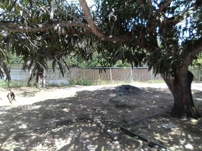 Casa (1 Nivel) en Venta en Los Canales de Rio Chico, Miranda - 31