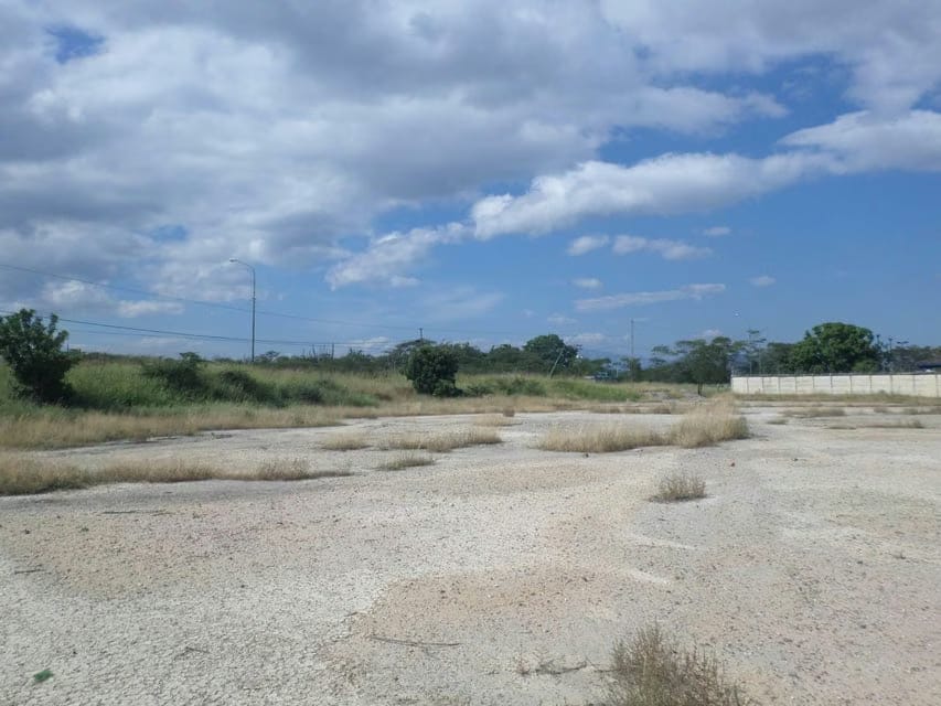 Terreno (Comercial) en Venta en Parroquia Juan Bautista Rodriguez, Lara - 6