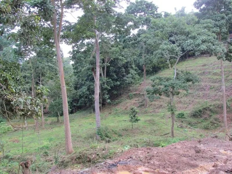 Terreno (Comercial) en Venta en El Hatillo, Distrito Metropolitano - 4
