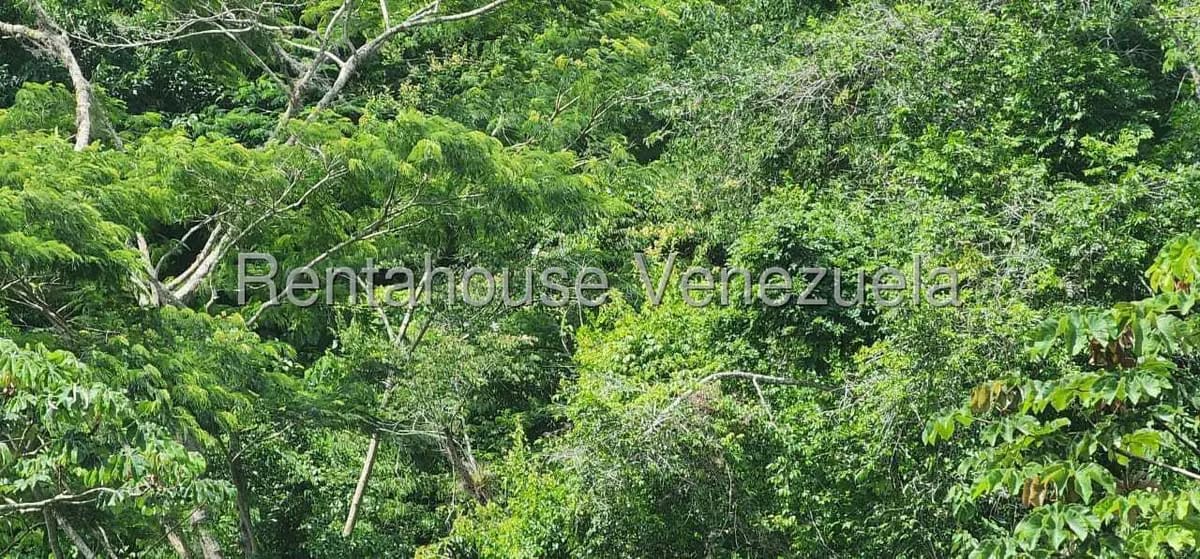 Apartamento (1 Nivel) en Venta en El Encantado, Distrito Metropolitano - 15