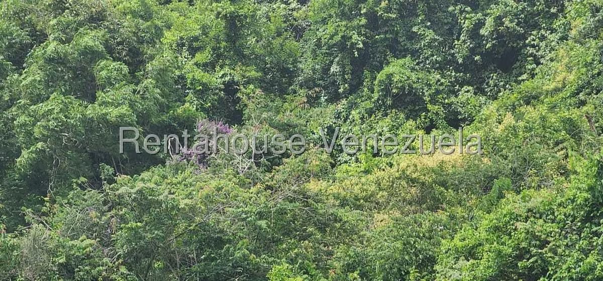 Apartamento (1 Nivel) en Venta en El Encantado, Distrito Metropolitano - 39