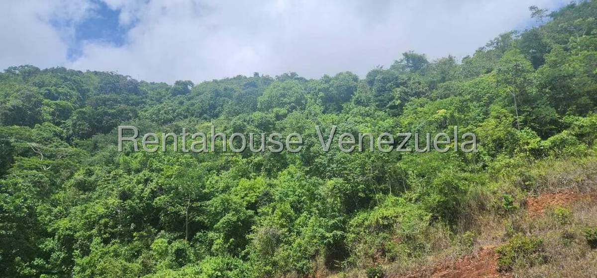 Apartamento (1 Nivel) en Venta en El Encantado, Distrito Metropolitano - 40