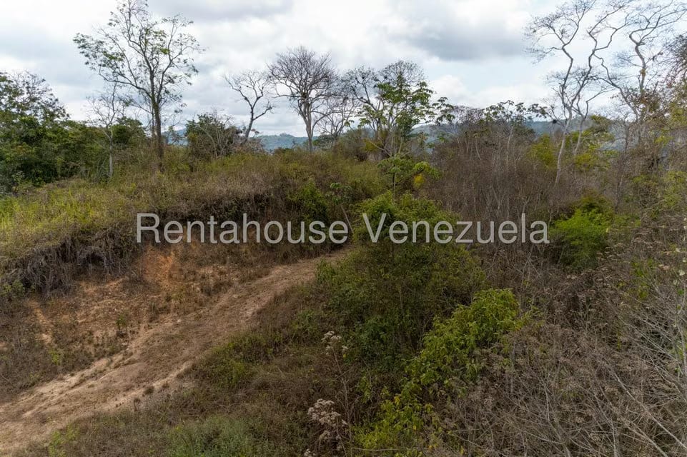 Terreno (Residencial) en Venta en Sabaneta, Distrito Metropolitano - 12