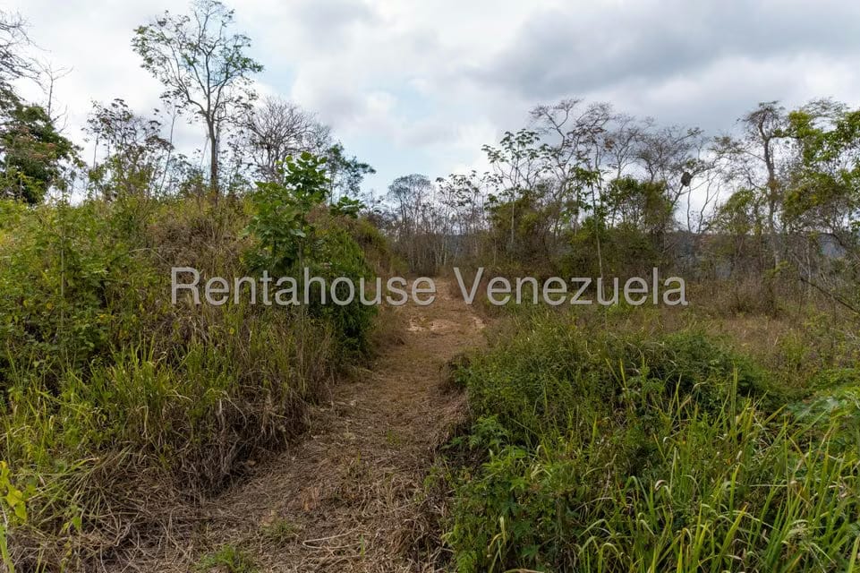 Terreno (Residencial) en Venta en Sabaneta, Distrito Metropolitano - 16