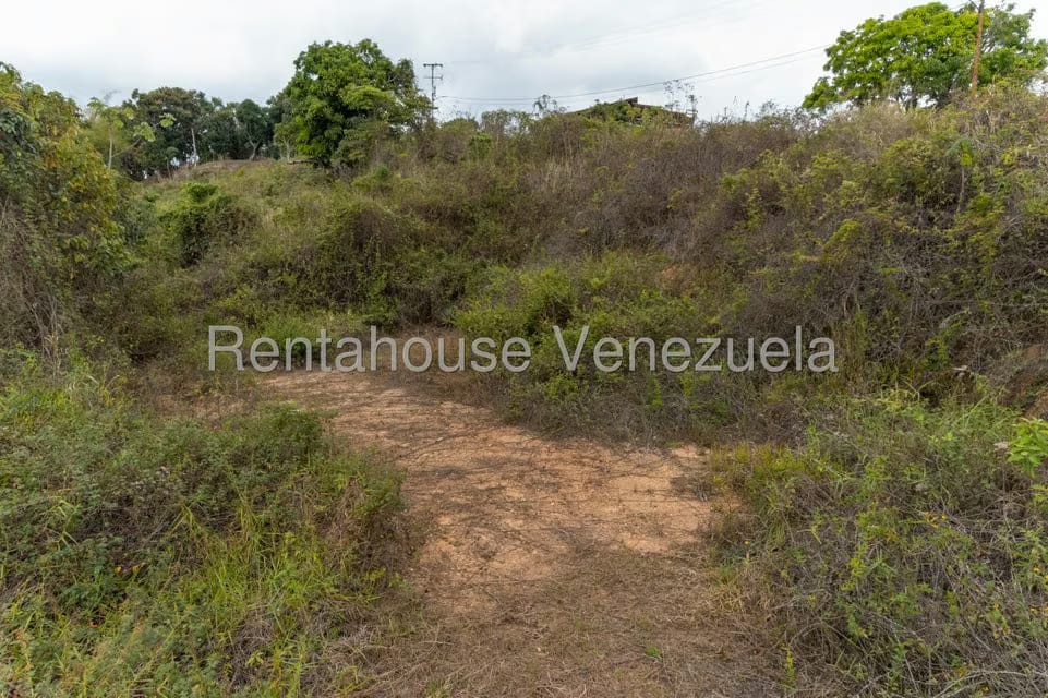 Terreno (Residencial) en Venta en Sabaneta, Distrito Metropolitano - 18
