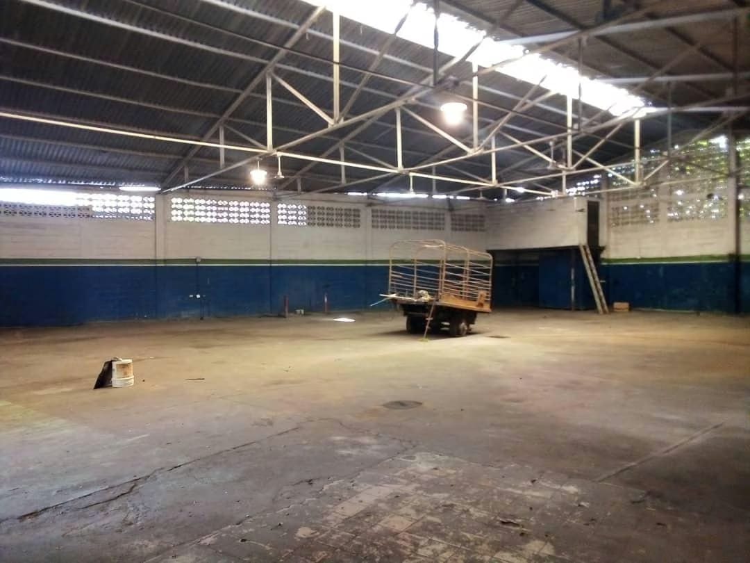 Galpón en Venta - Av. 5 de Julio - Ciudad Bolívar - Estado Bolivar - 6