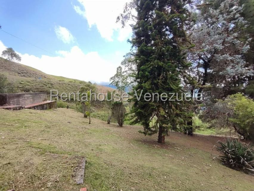 Casa (Duplex) en Venta en La Colonia Tovar, Aragua - 37